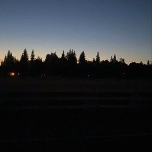 Meet your Posher, Paulina